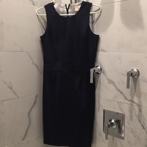 Red Fleece Brooks Brothers Navy Pin Stripe Sheath